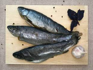 Снапсы хворост 